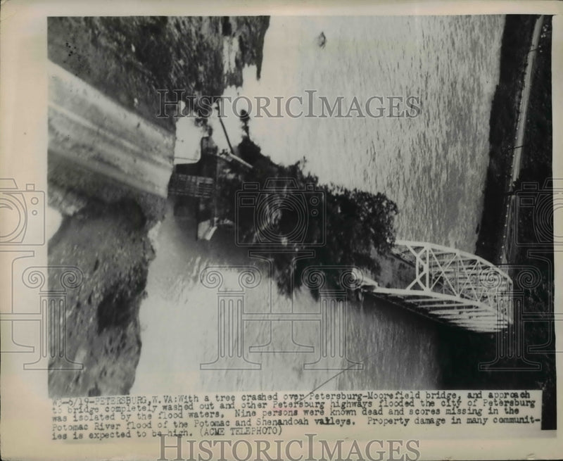 Load image into Gallery viewer, 1949 Press Photo of tree that has crashed into the Petersburg-Moorfield bridge.
