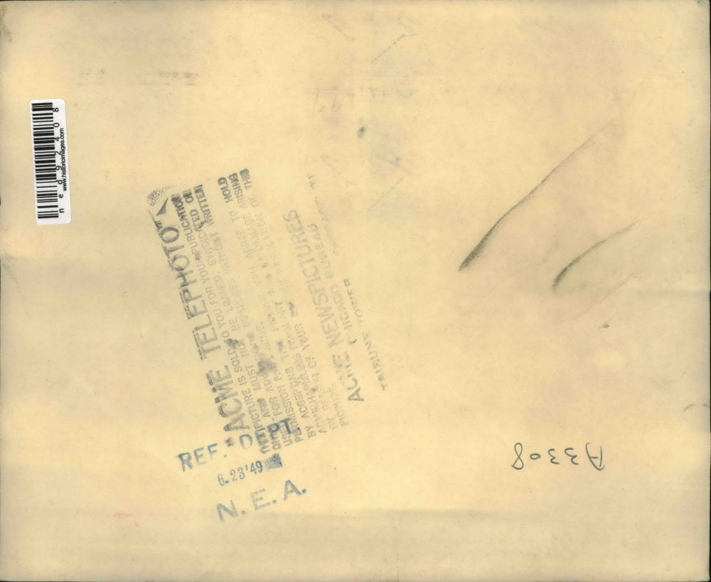 1949 Press Photo of tree that has crashed into the Petersburg-Moorfield bridge.