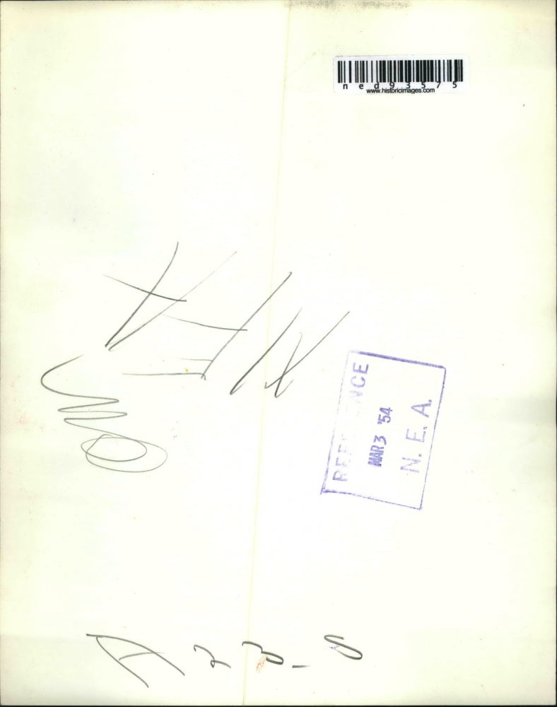 1954 Press Photo Milwaukee Wis Mrs Fred Walter English springer spaniel & pups