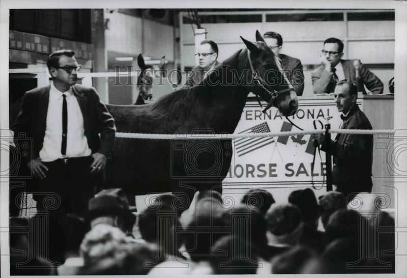 Load image into Gallery viewer, 1956 Press Photo 6th International Horse show sales at Northfield
