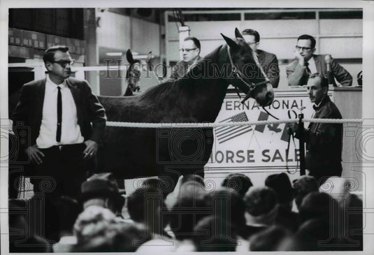 1956 Press Photo 6th International Horse show sales at Northfield