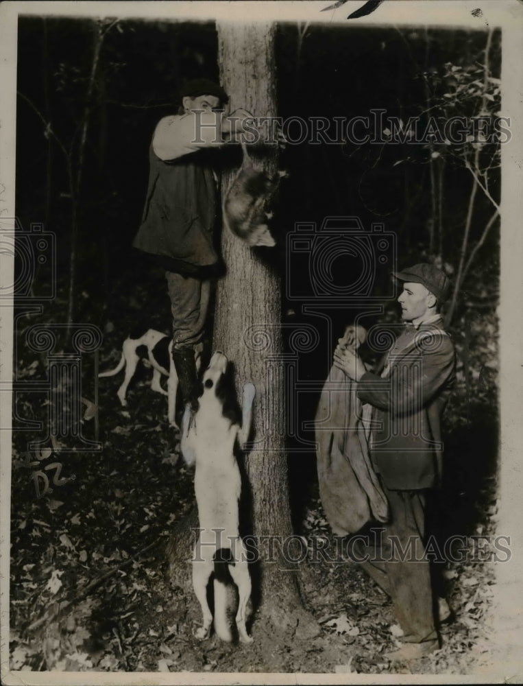 1921 Press Photo Posum hunting scene in the South