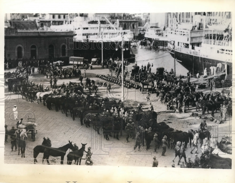 1935 Press Photo Army Mules on Naples Italy Dock Loaded on SS Toscana to Africa