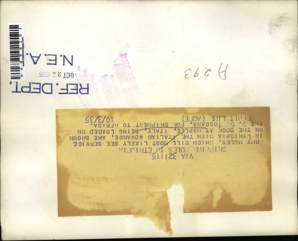 1935 Press Photo Army Mules on Naples Italy Dock Loaded on SS Toscana to Africa