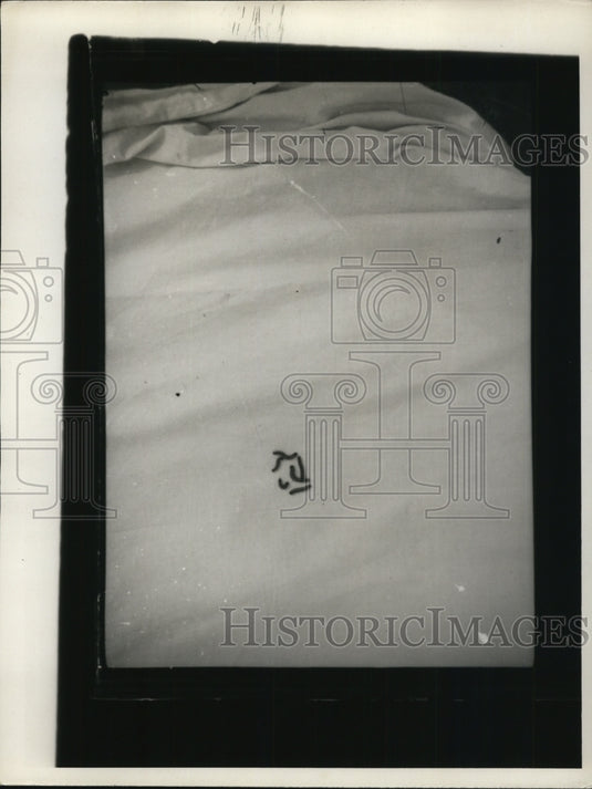 1936 Press Photo A group of caterpillars
