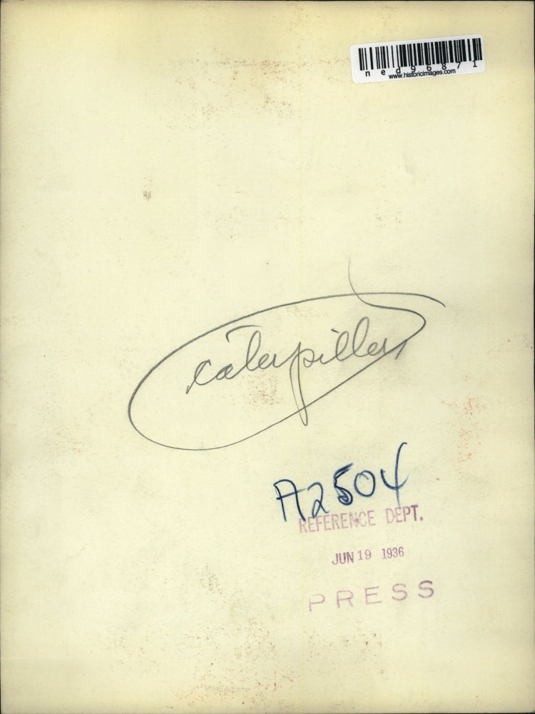 1936 Press Photo A group of caterpillars