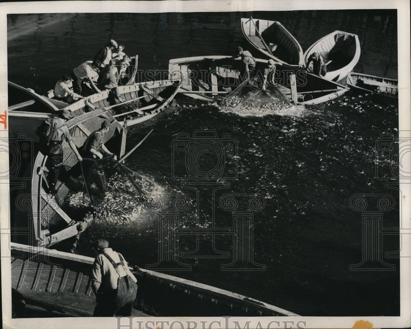 Load image into Gallery viewer, 1947 Press Photo World's largest sardine fleet hits piscatorial jackpot
