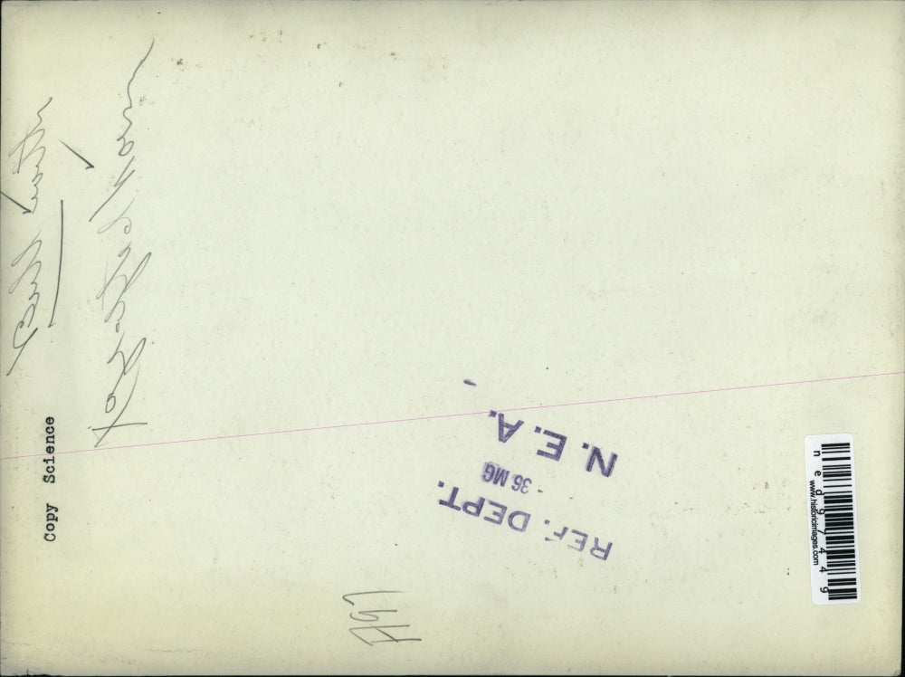 1936 Press Photo A bull with a grafted horn seen at the field