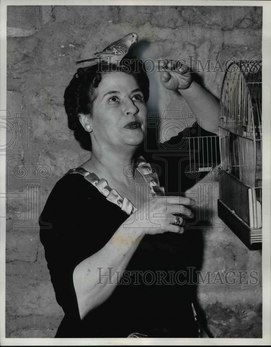 1959 Press Photo of Mrs. Michael DiSalle.