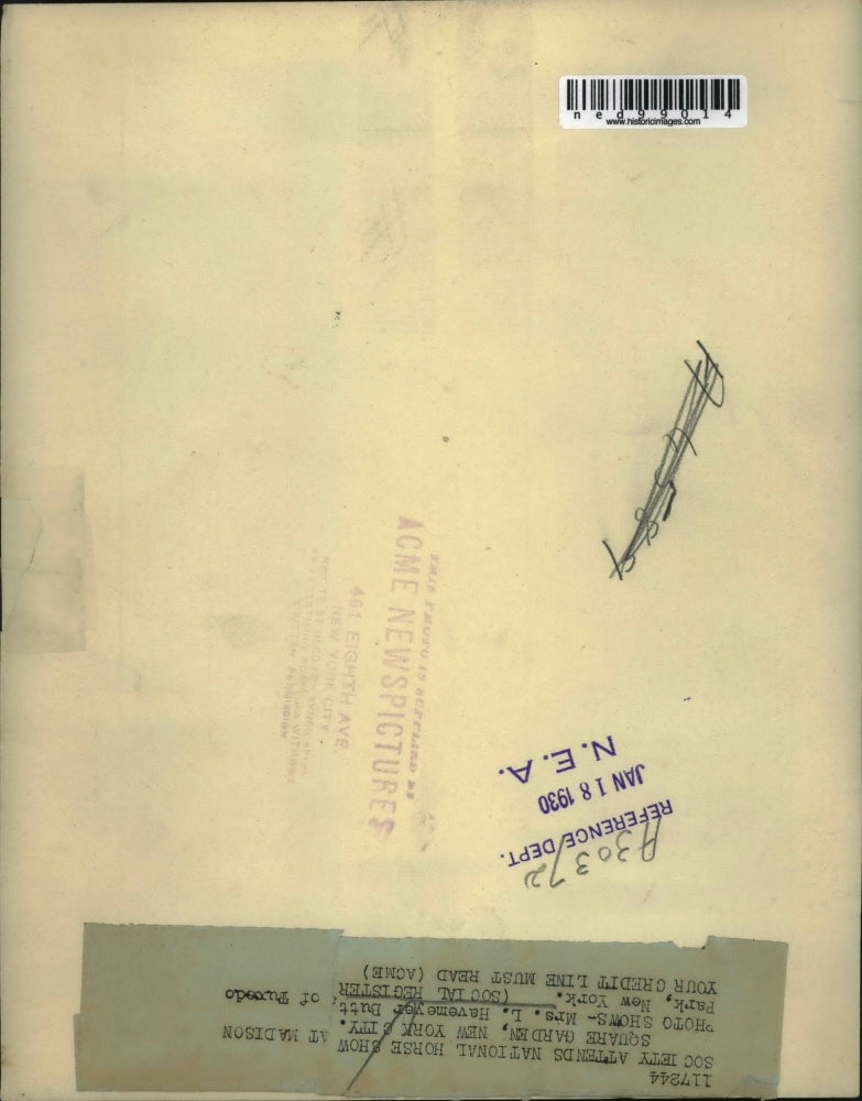 1930 Press Photo Mrs. L. Havemeyer Butt attends Horse Show at Madison Square, NY