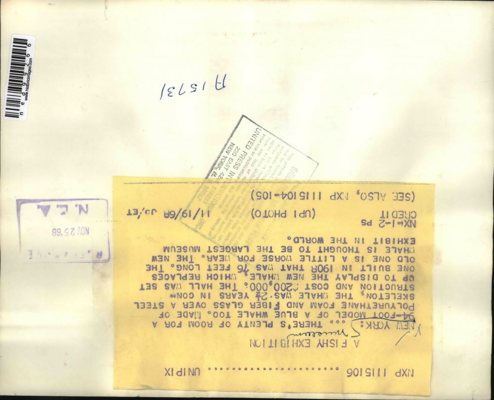 1968 Press Photo Blue Whale Exhibit