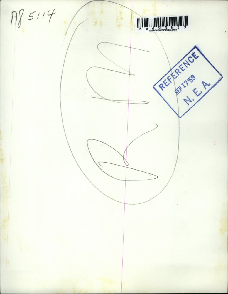 1953 Press Photo Wazsh DC Warren L Stephenson GOP socialite