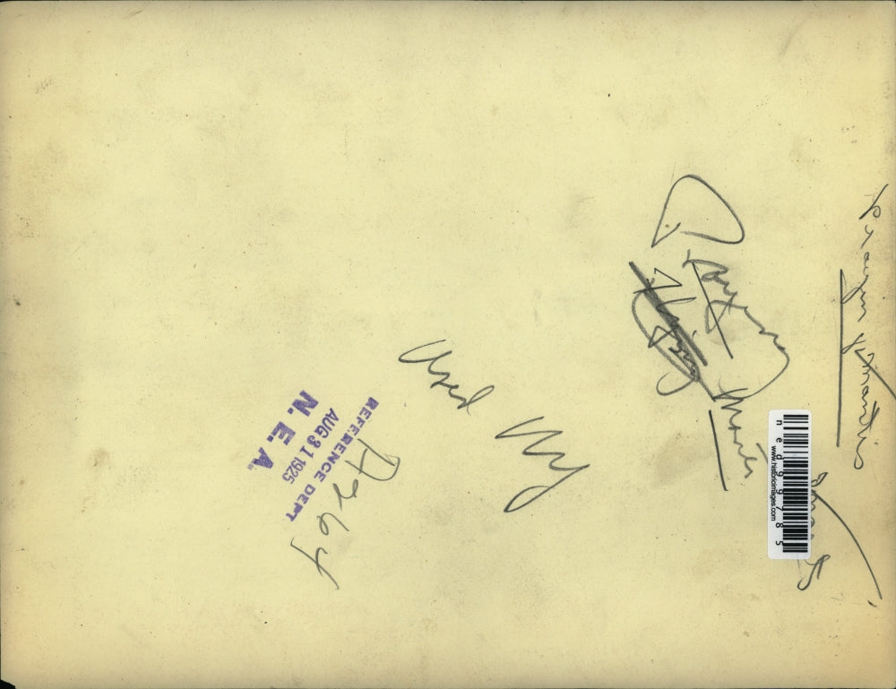 1925 Press Photo of praying mantis.