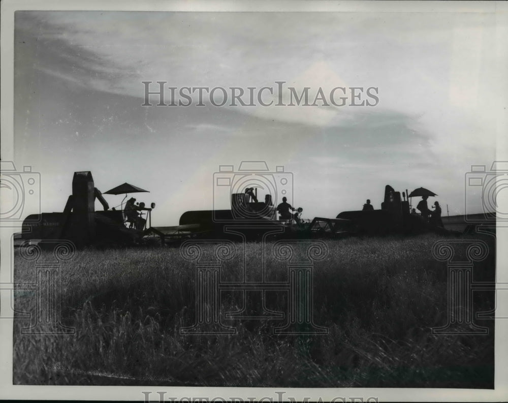 1958 Press Photo Combines working to harvest a field of wheat in Kansas