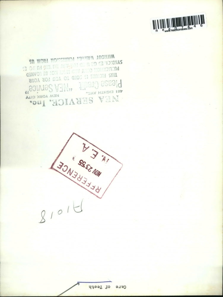 1955 Press Photo Young Girl Applies Toothpaste to Toothbrush Dental Care