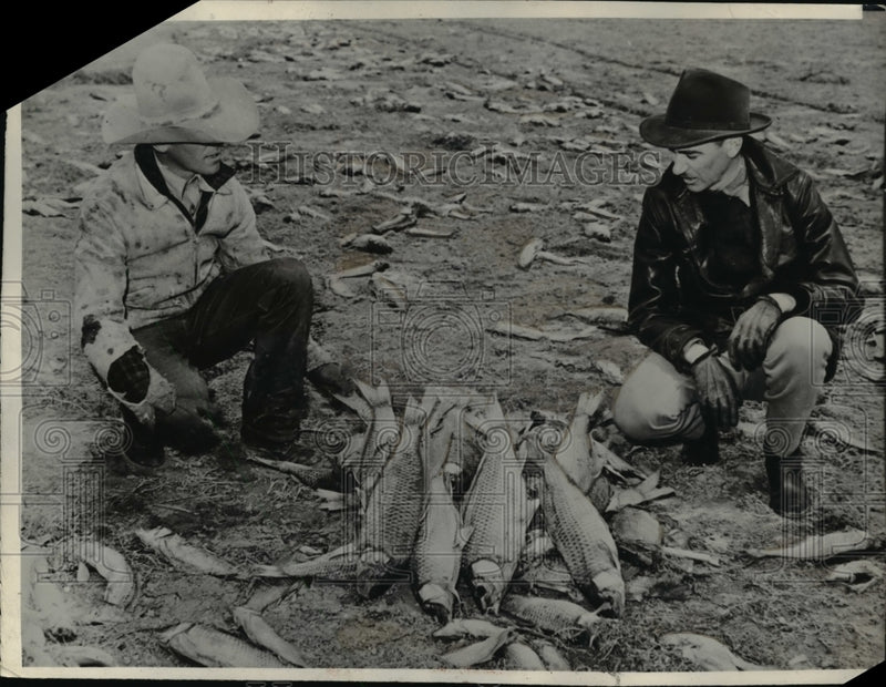 Load image into Gallery viewer, 1940 Press Photo Carp Fish Die as Water Recedes Lake Meredith Rancher Ray Lees
