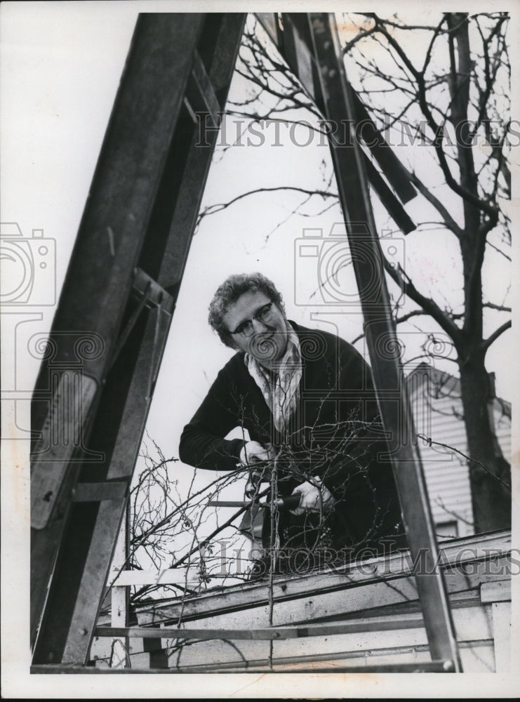 1959 Press Photo Mrs Mary Pecek - nee11170