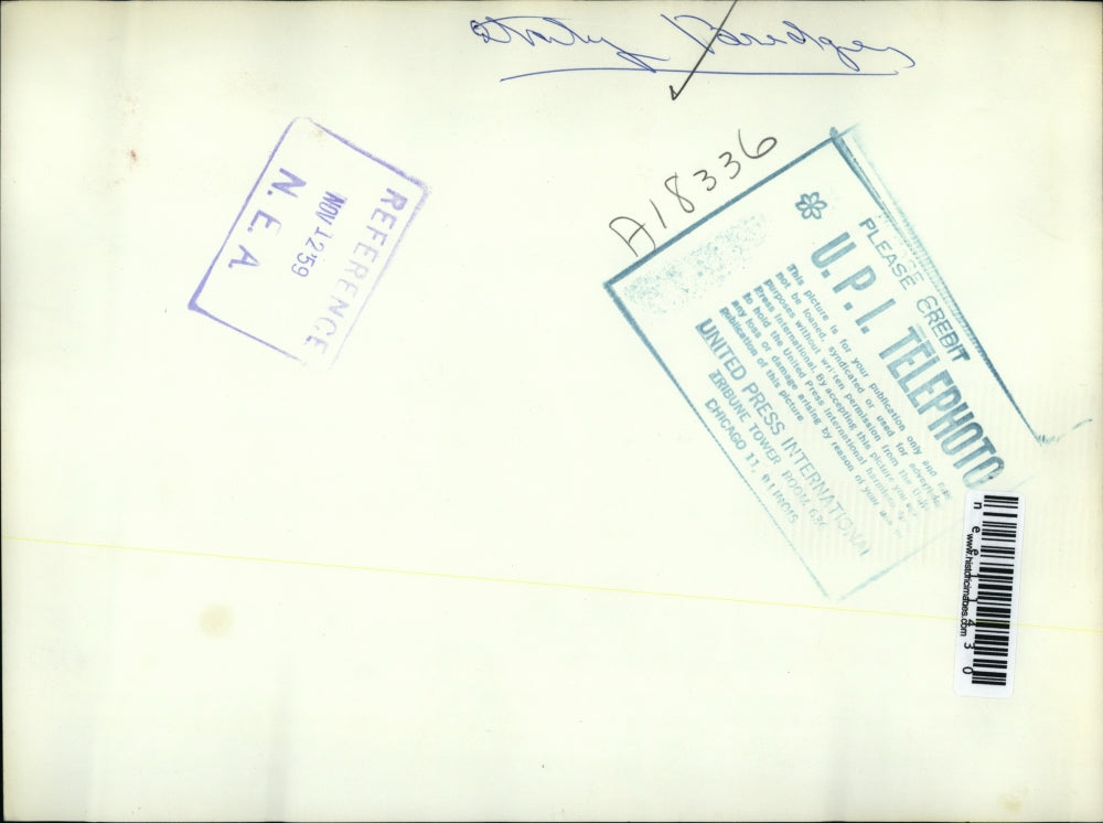 1959 Press Photo Concrete Bridge Collapses in Italy Due to Raging River