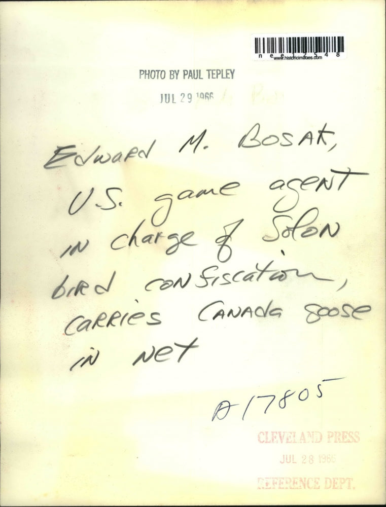 1966 Press Photo Game Agent Edward M. Bosak Captures Canada Geese in Net