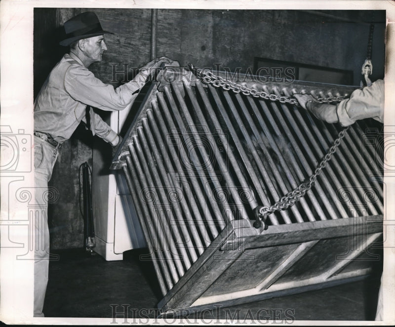 Load image into Gallery viewer, 1954 Press Photo Manicure cage for lion - nee13669
