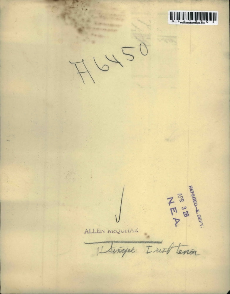 1928 Press Photo Irish tenor, Allen McQohae - nee15601