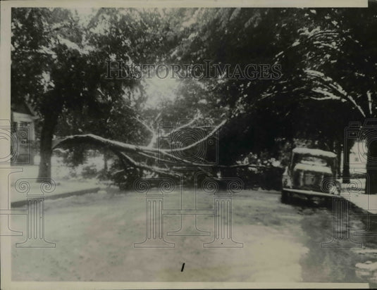 1936 Press Photo chicago snowstorm