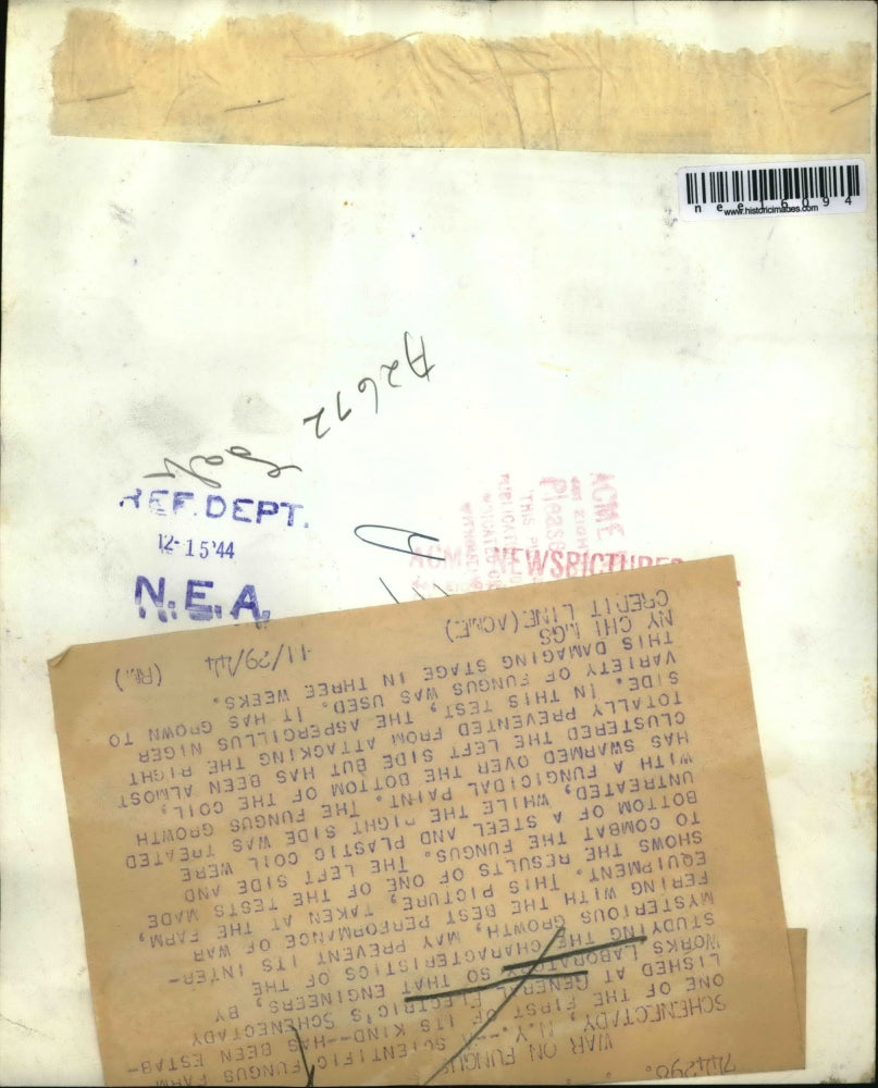 1944 Press Photo Schnectady NY GE works labs fungus farm in lab - nee16094