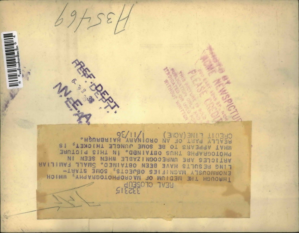 1936 Press Photo Closeup of Hairbrush Bristles, Macrophotography - nee16464