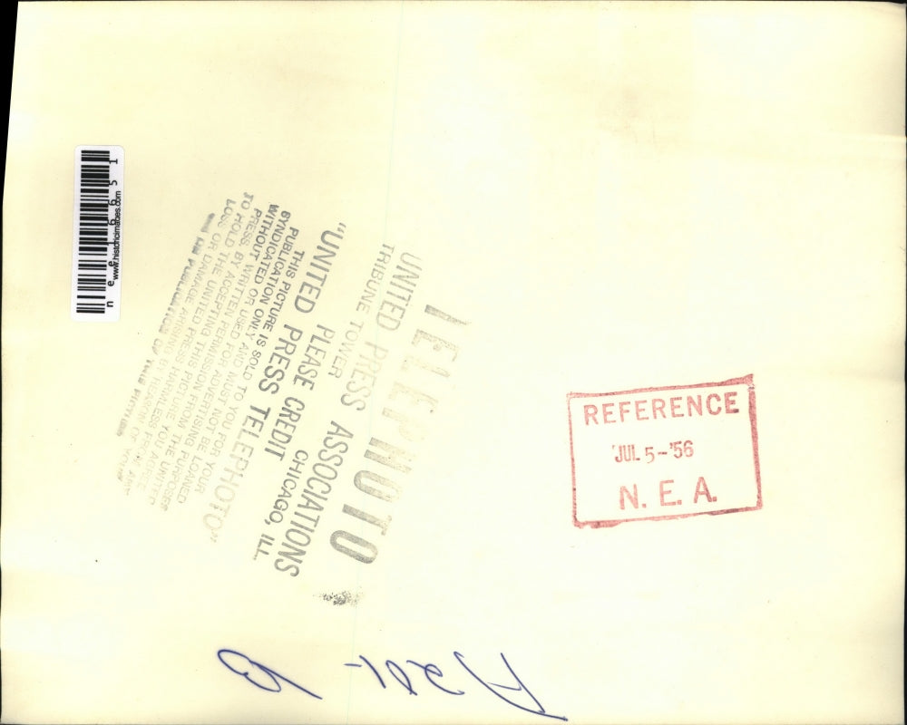 1956 Press Photo Black bear cubs from Canada casting wary eyes at the zoo.