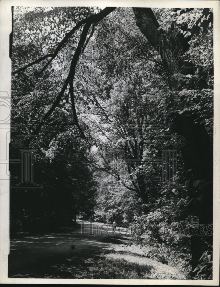 1945 Press Photo Metropolitan Park - nee18264