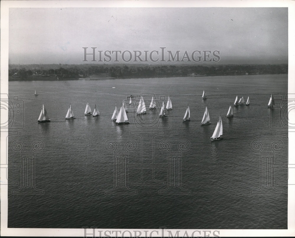 1951 Press Photo Sail Boats - nee19363
