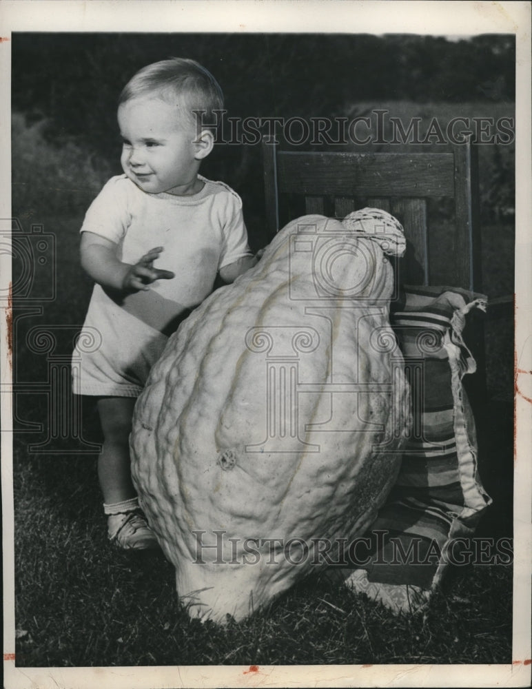 Load image into Gallery viewer, 1948 Press Photo Toddler Stands Beside 51.5 Pound Squash, Michigan - nee20939

