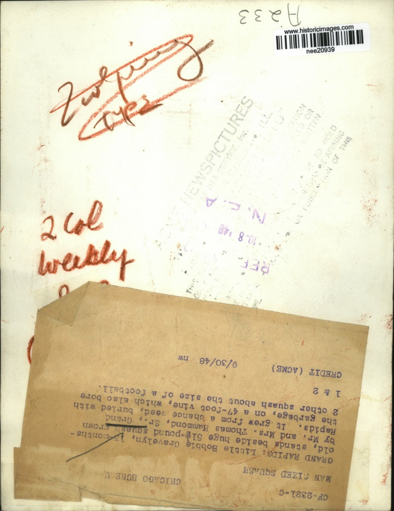 1948 Press Photo Toddler Stands Beside 51.5 Pound Squash, Michigan - nee20939