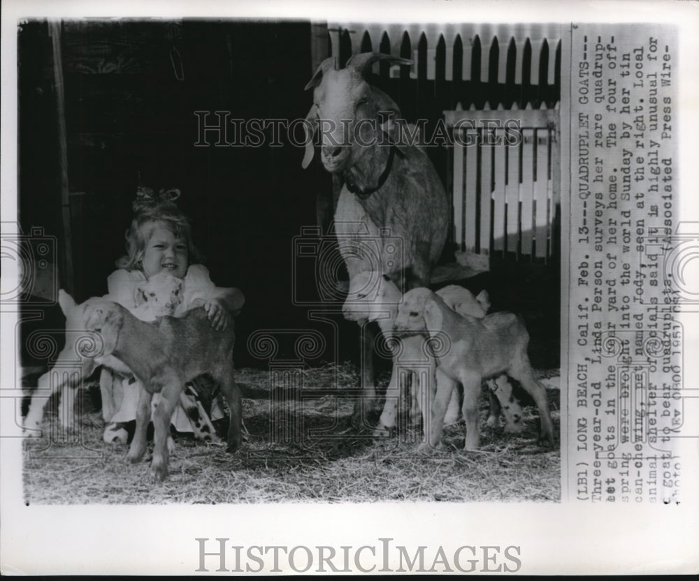 1951 Press Photo The three year Linda Parson with her quadruplet goats