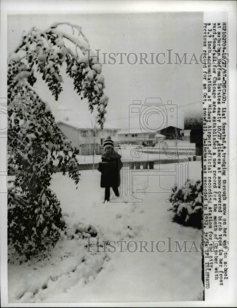 Load image into Gallery viewer, 1967 Press Photo Liat Snestad Age 6 Trudging Through Snow Going to School
