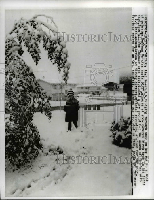 1967 Press Photo Liat Snestad Age 6 Trudging Through Snow Going to School