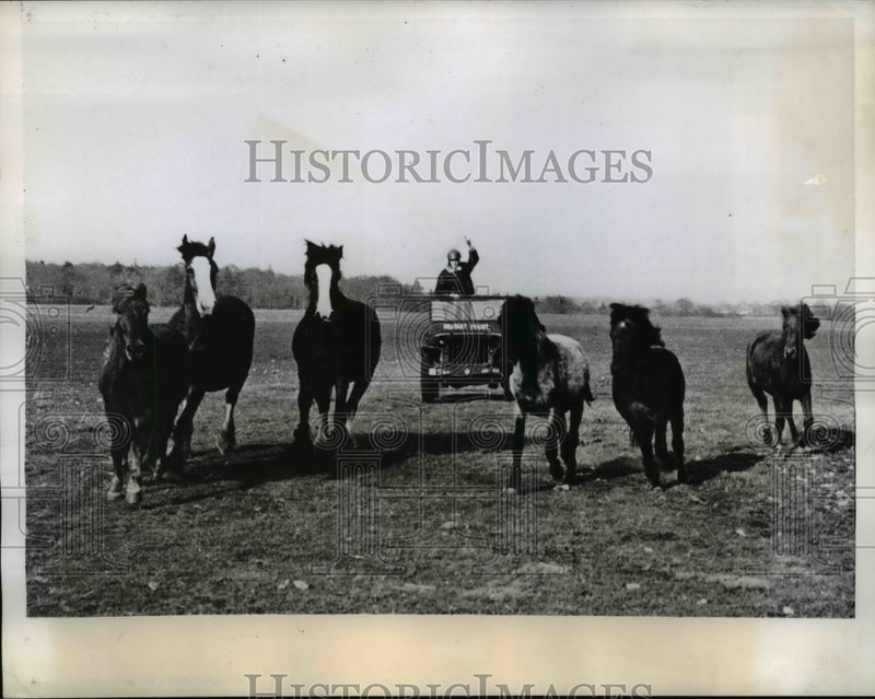 Load image into Gallery viewer, 1944 Press Photo First Sgt. James Dozier after elusive Bangtails
