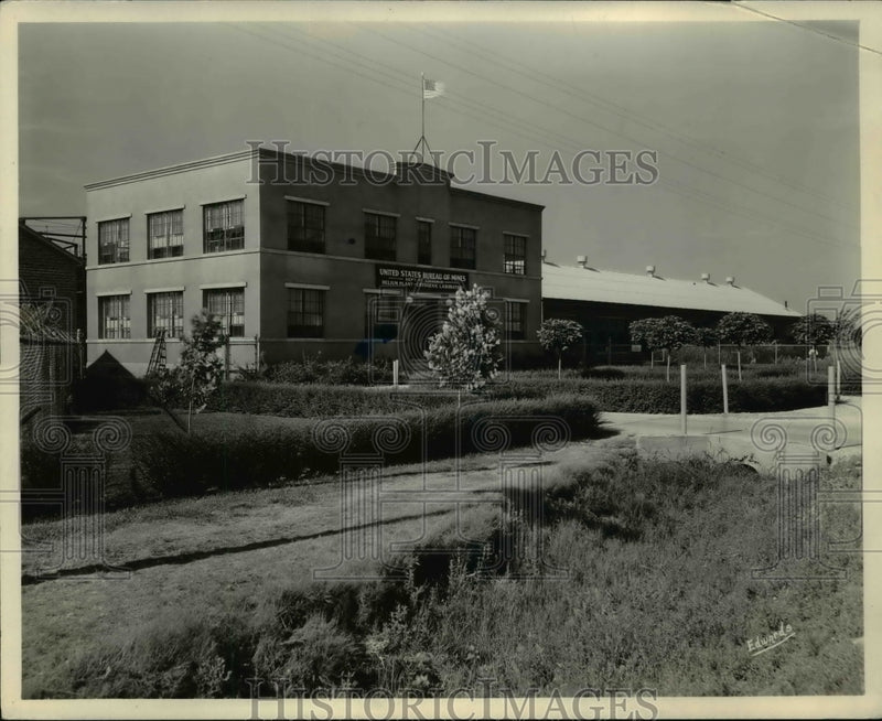 Load image into Gallery viewer, 1931 Press Photo Helivin Plant at Awarillo
