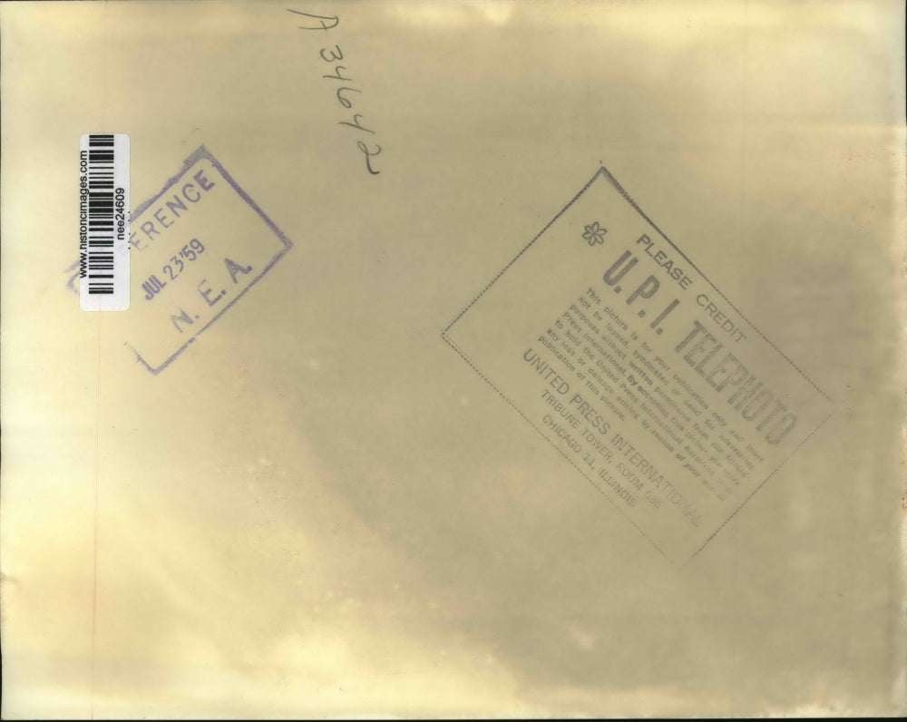 1959 Press Photo Pine Trees from fog as forest fire sweeps uncontrolled