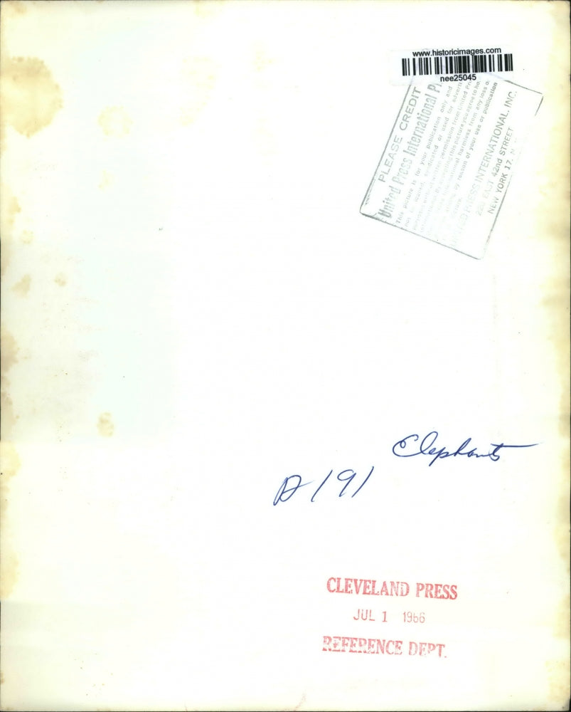 1966 Press Photo Boy stands behind the fence of Winkie,a 7.500 pound elephant