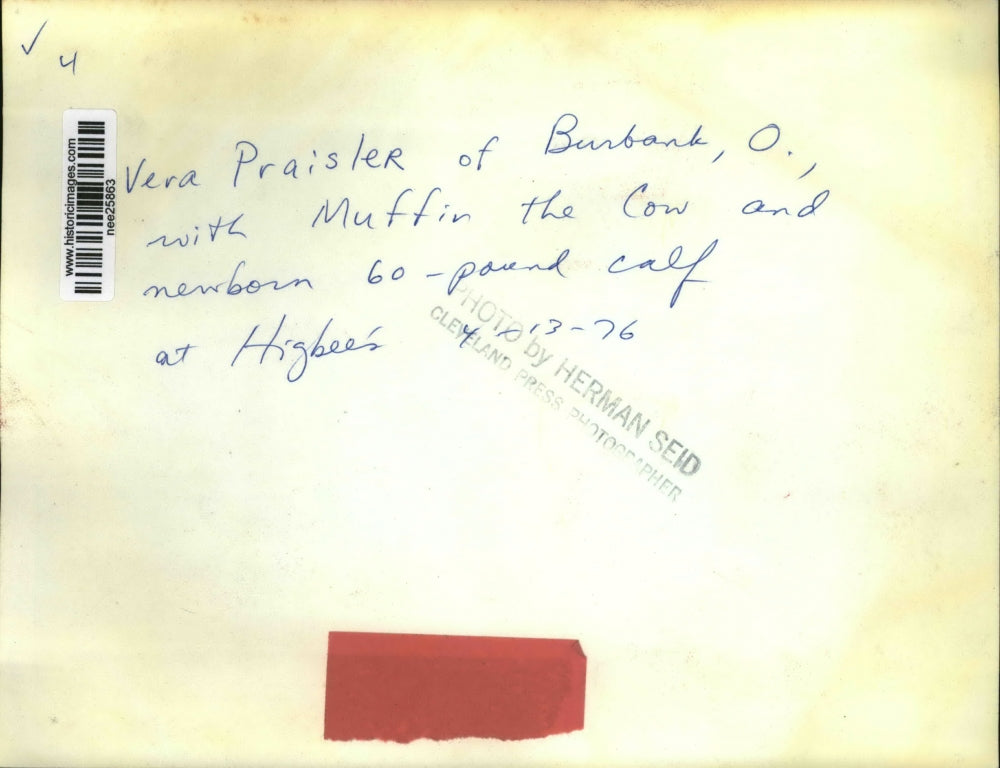 1976 Press Photo Vera Praisler with Muffin the Cow and Newborn calf - nee25863