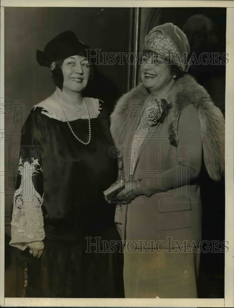 1927 Press Photo Louisiana Society in New York Mrs P White Mrs Austin Hancock