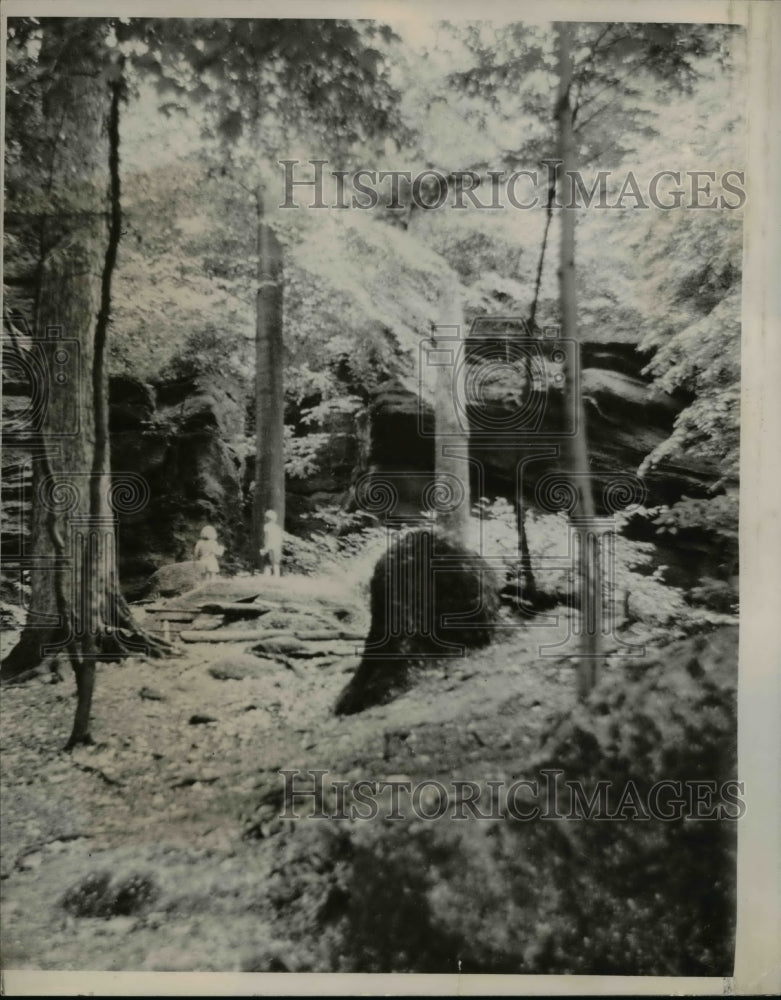 1949 Press Photo Nelsons Sedges - nee26621