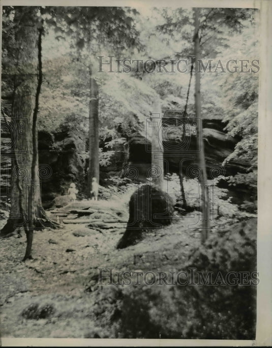 1949 Press Photo Nelsons Sedges - nee26621