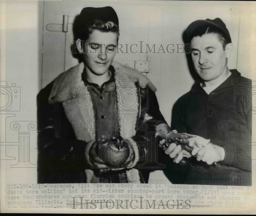 1948 Press Photo Men Hold Pheasant, Pigeon Birds Grounded by Snow / Cold Weather- Historic Images