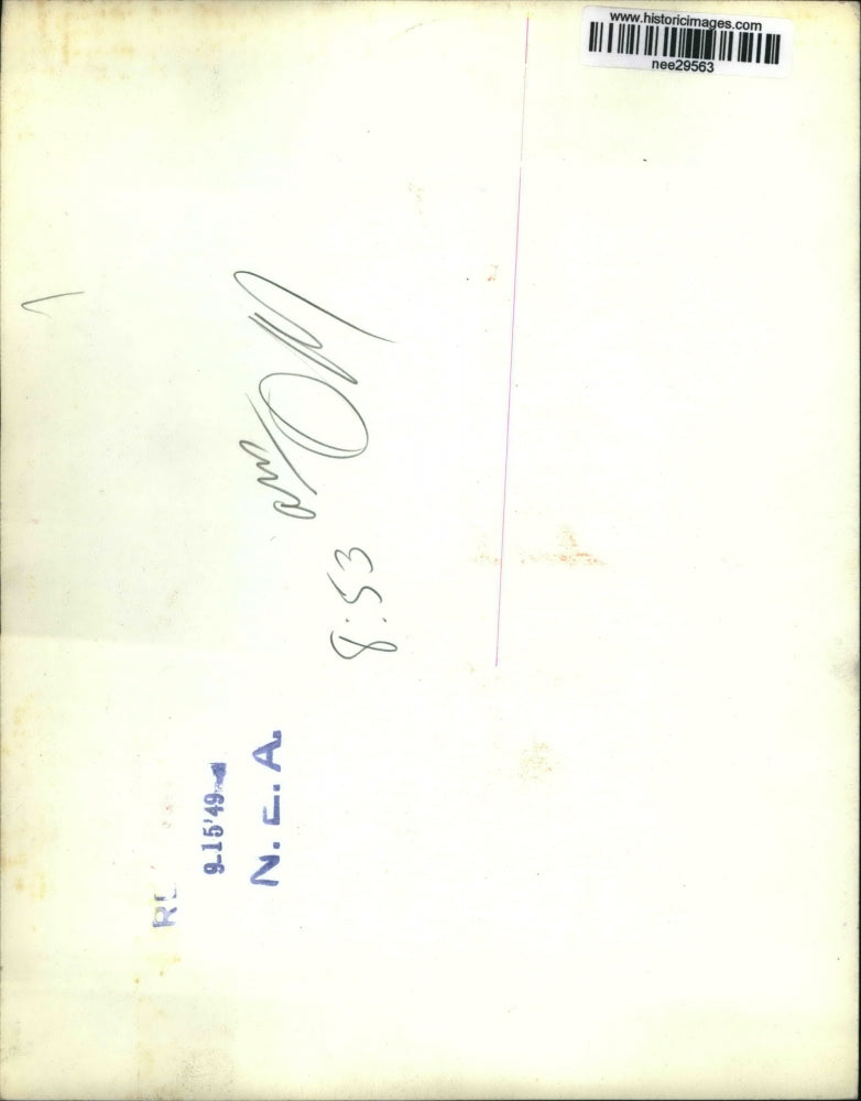 1949 Press Photo Noel Rosefelt animal trader with Taffy and Mabel, elephants