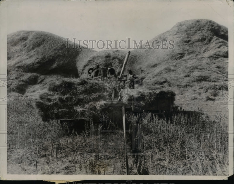 Load image into Gallery viewer, 1936 Press Photo Kansas Wheat Crop Bumper - nee30048
