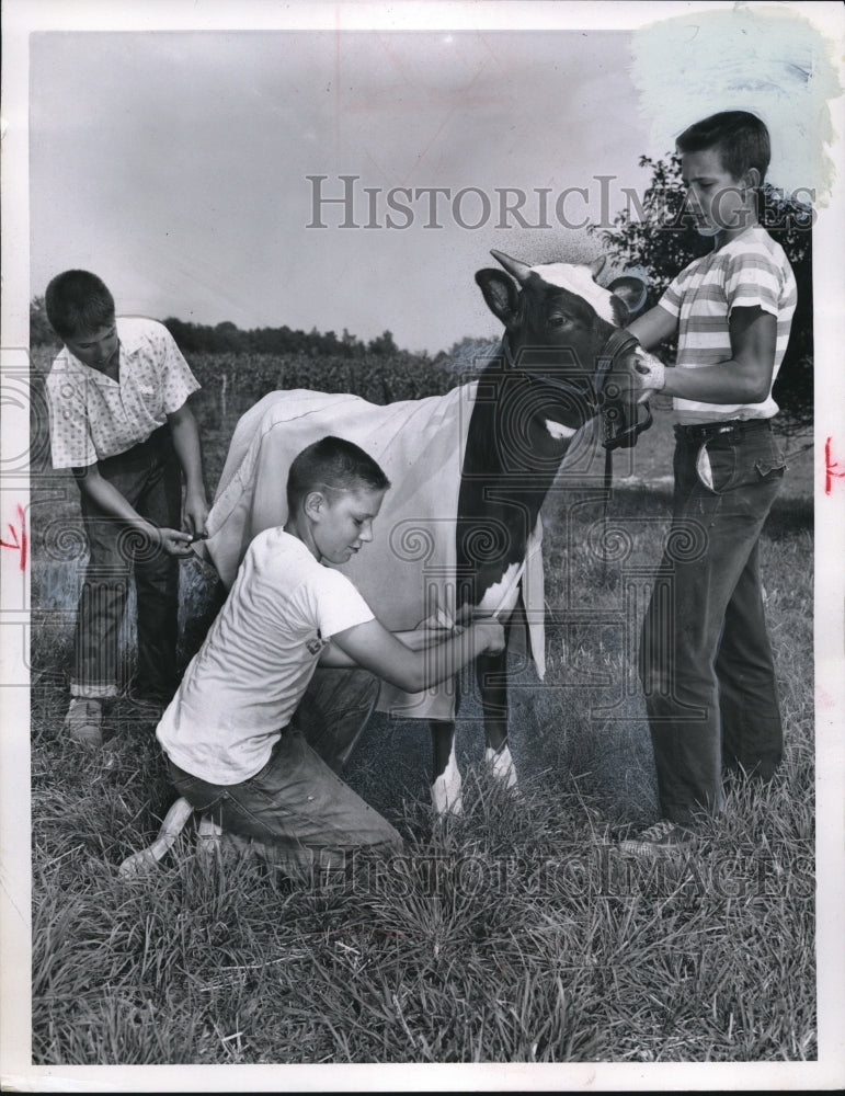 Load image into Gallery viewer, 1960 Press Photo Phil Johnson, Robert Koritzansky and Ross Newton
