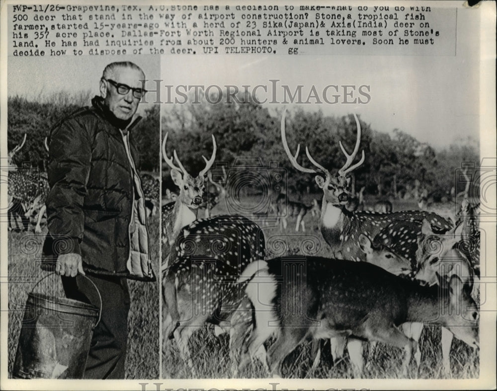 Press Photo A.C. Stone stand with deer in way of airport construction, Texas