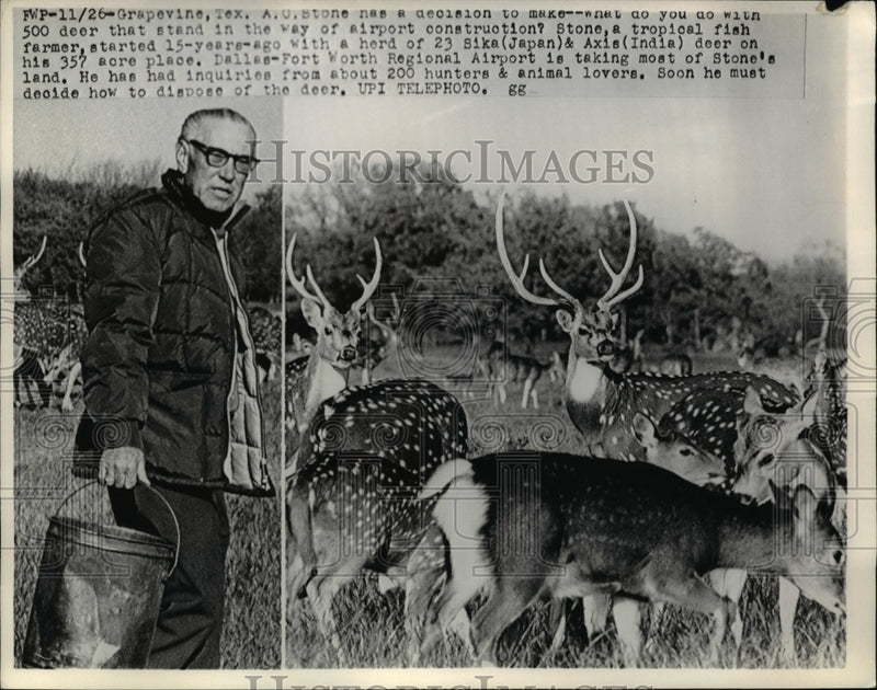 Load image into Gallery viewer, Press Photo A.C. Stone stand with deer in way of airport construction, Texas
